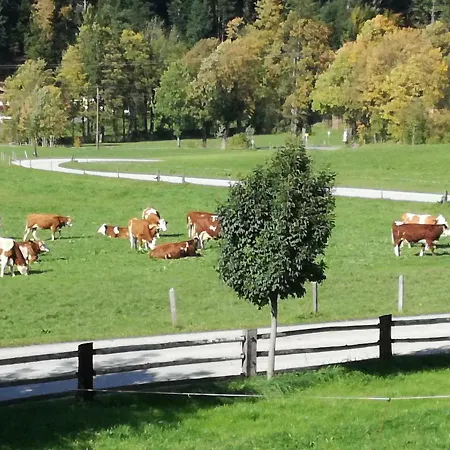Unterbering Lägenhet Söll