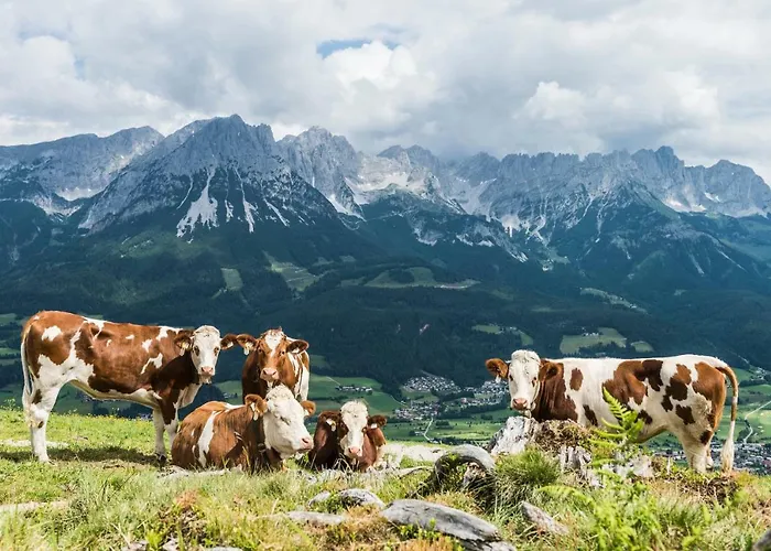 Unterbering Apartment *