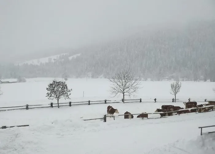 Apartment Unterbering