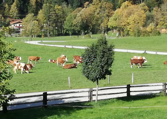 Unterbering 公寓 瑟尔